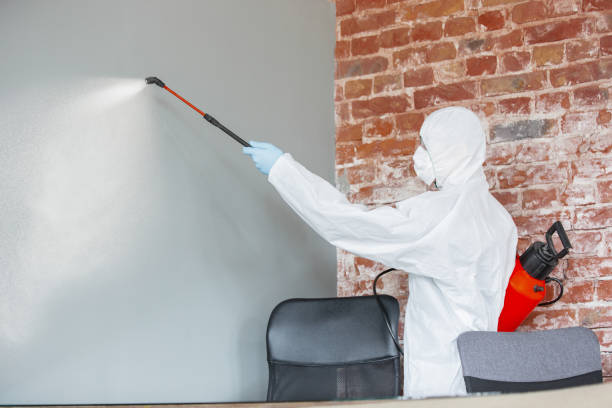 Best Mold Damage Restoration  in USA